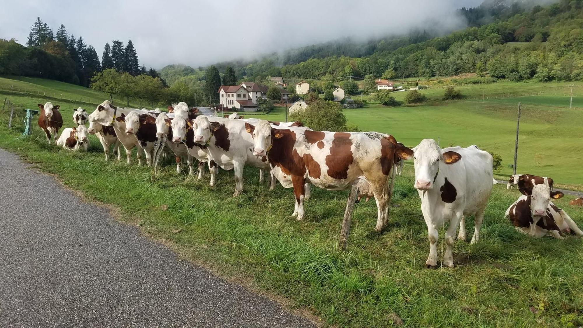 Un Pied Devant L'Autre Sainte-Marie-D'Alvey Luaran gambar