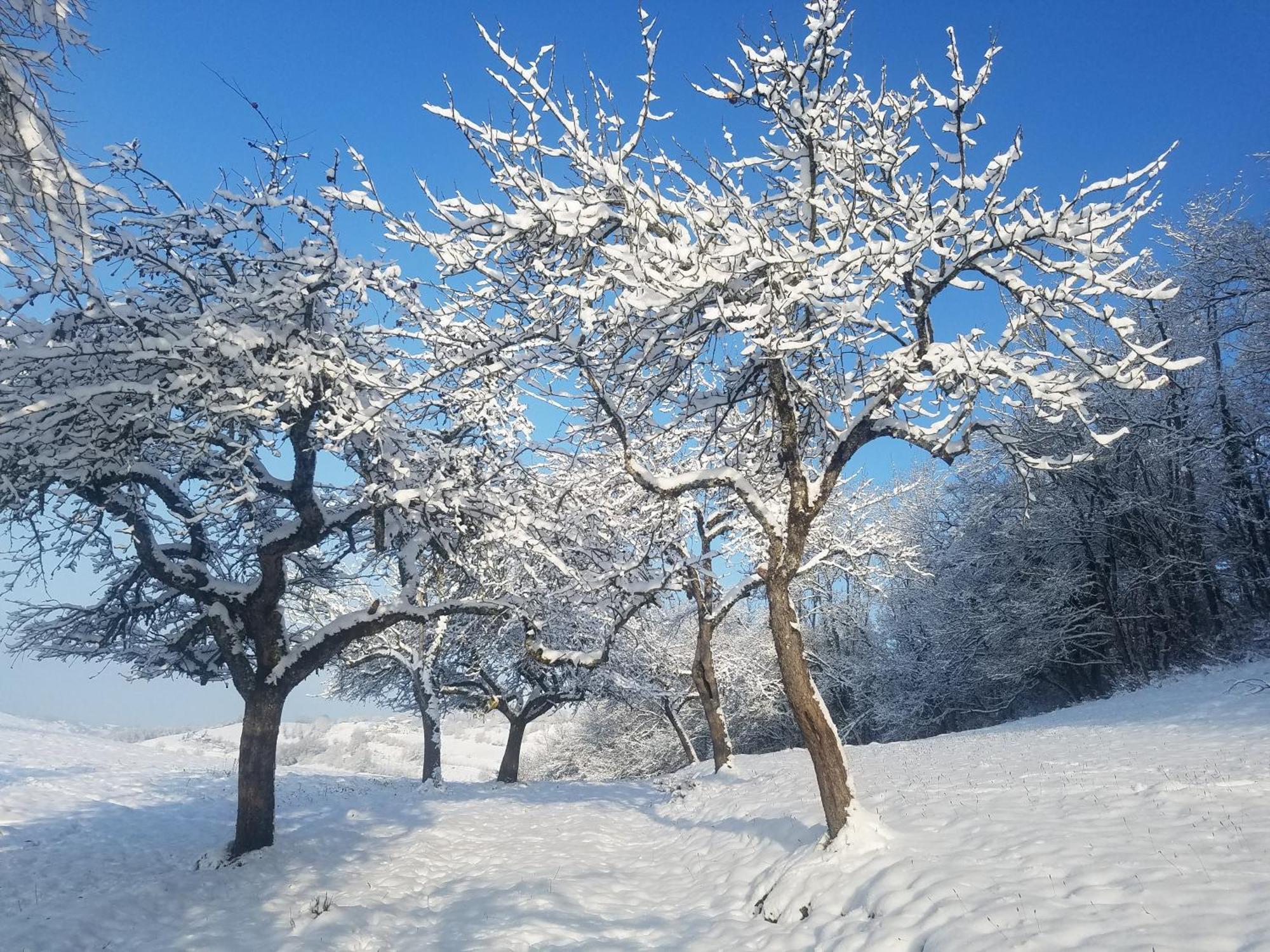 Un Pied Devant L'Autre Sainte-Marie-D'Alvey Luaran gambar